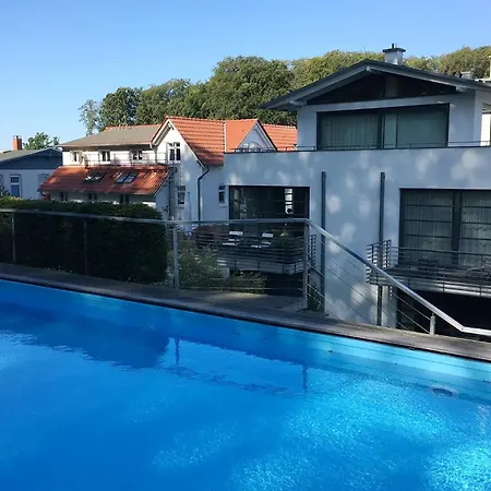 Paula - Silbermöwe